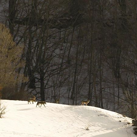 Hotel Valle Del Lupo Пескассероли Экстерьер фото